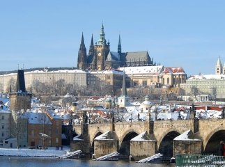 Уряд Чехії оголосив про послаблення жорсткого карантину: що дозволять