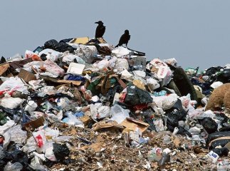 Сміттєвий колапс: чи можливий він на Закарпатті?