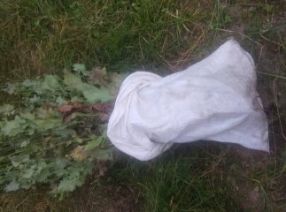 Поліцейські виявили незаконні посіви маку в двох районах області