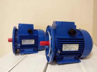 У Нижній Апші троє осіб вкрали у підприємця електромотор