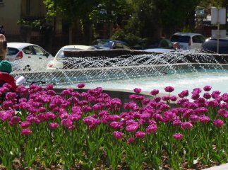 В Ужгороді на площі Поштовій запрацював фонтан