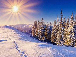 День зимового сонцестояння