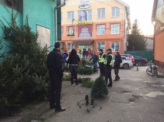 Муніципали розповіли про незаконну торгівлю ялинками у Мукачеві