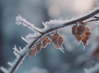 Закарпатцям повідомляють про негоду в області Погода 18 грудня