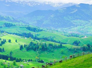 У селищі Ясіня стався зсув ґрунту