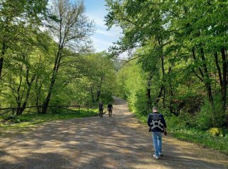 На Закарпатті оштрафовано кількох людей, які не дотримались однієї заборони