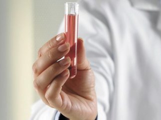 Закарпаття на порозі страшної епідемії