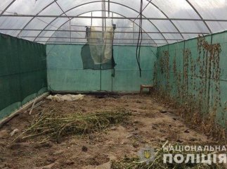Молодий мукачівець проведе за ґратами майже 10 років