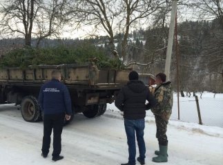 На Міжгірщині затримали майстра лісу, який вимагав 10 тисяч гривень хабара за відпуск ялинок за заниженими цінами