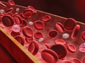 Вчені назвали найбільш небезпечний симптом коронавіруса