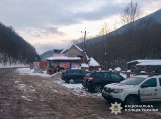 Поблизу закладу харчування собаки напали на жінку з дітьми