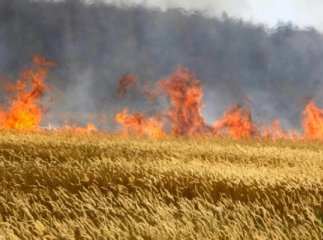 На Закарпатті оголосили штормове попередження: очікується високий рівень пожежної небезпеки