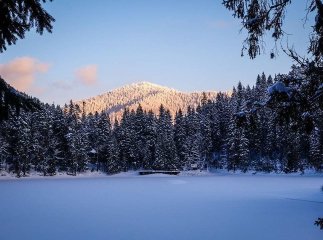 Дивовижна краса: як виглядає озеро Синевир взимку