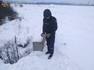 На Тячівщині виявили небезпечну знахідку
