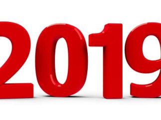 Гучні скандали, які сколихнули Закарпаття у 2019 році
