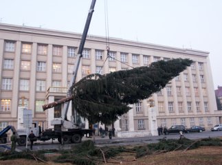 Федір Шандор: Цьогорічна головна ялинка Закарпаття стоятиме у новому місці, в якому саме – поки таємниця