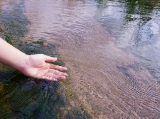 На Закарпатті потонув чоловік, який втікав від прикордонників