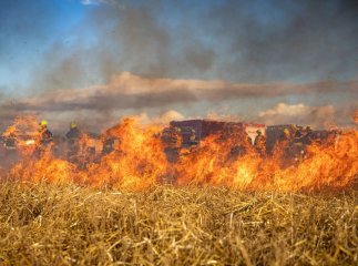 Як розпочнеться тиждень: синоптики попередили закарпатців про небезпеку