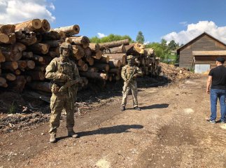 СБУ провела обшуки у лісівника та на кількох підприємствах і виявила значну кількість "лівої" деревини СБУ провела обшуки у лісівника та на кількох підприємствах і виявила значну кількість "лівої" деревини