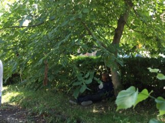 У центрі Виноградова прямо на вулиці повісився чоловік