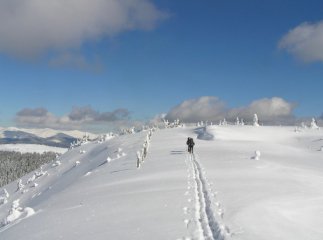 Рятувальники дали поради, як вижити у горах взимку