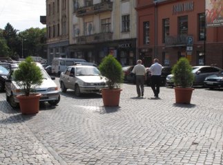 В Ужгороді пішохідний міст відгородили горщиками з туями (ФОТО)