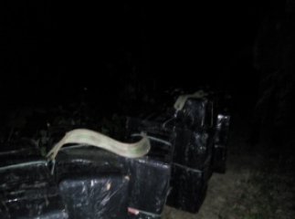 Закарпатські прикордонники попереджували контрабандистів пострілами