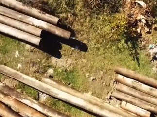 На Закарпатті провертають аферу гігантських масштабів: подробиці шокують