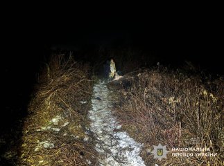 Поблизу Великих Лучок ввечері застрелили чоловіка