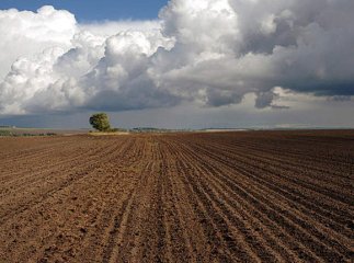 На розвиток агропромисловості Закарпаття виділили півтора мільйони гривень