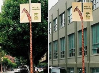 Рекламних плакатів на електричних стовпах в Ужгороді не буде