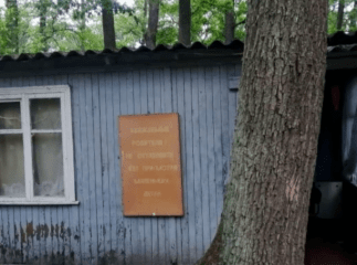 10-річна дівчинка загинула, намагаючись врятувати свого братика