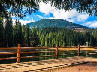 Із середини вересня перевірятимуть громадян: на Закарпатті введуть нове обмеження