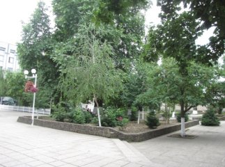 У Берегові приводять до ладу парк "Будапешт"