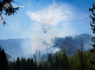 Російський слід: на Закарпатті припустили причетність ворога до лісової пожежі