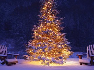 Різдво та Новий рік в Карпатах