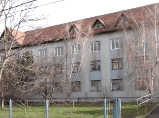 Малеча із дитбудинку Луганської області проживатиме в Ракошині