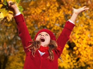 Школярі Мукачева тиждень відпочиватимуть