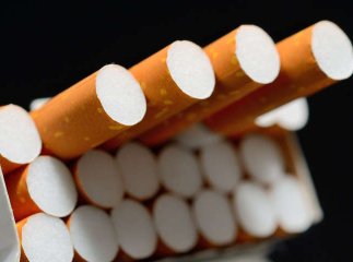 Вівчарка завадила молодому румуну перевезти контрабанду через кордон