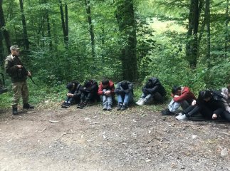 Прикордонники затримали велику групу нелегалів