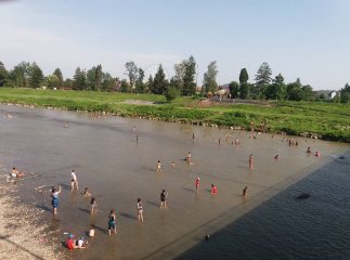 У Мукачеві роми заполонили Латорицю