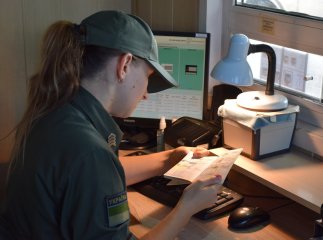 Закарпатські прикордонники звернулись до тих, хто збирається перетинати кордон