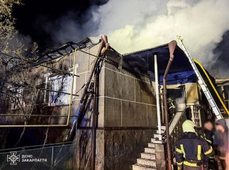 Господар довірився відчуттю: рятувальники розповіли про випадок на Хустщині