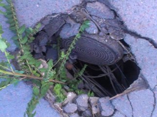 В Ужгороді на виїзді з однієї із АЗС міста провалився асфальт