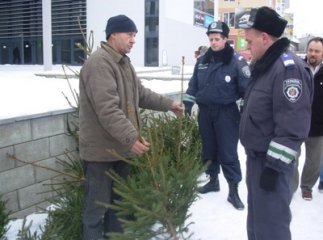 На Перечинщині ловлять перших "ялинкових" злодіїв