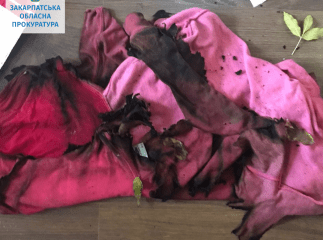 Чоловіка, який намагався вбити співмешканку, взяли під варту