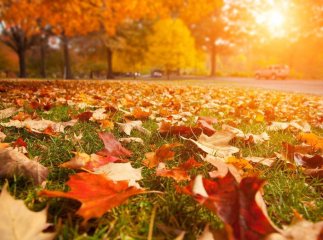 Синоптик розповіла, коли в Україні похолодає