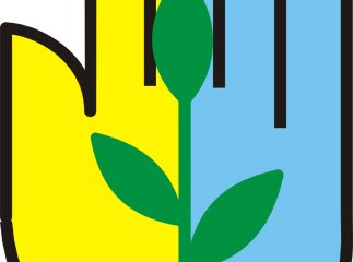Вже третій місяць в Мукачеві діє центр соціальних служб для сім’ї, дітей та молоді (ВІДЕО)