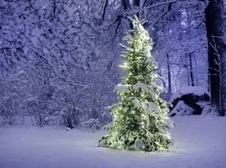 Якою буде погода на Різдво: чи прогнозують мороз та сніг