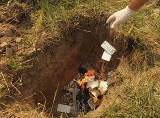 Співробітники СБУ знищили на околиці Ужгорода наркотичні засоби та психотропні препарати